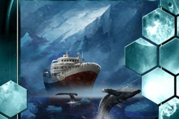 Kraken актуальное