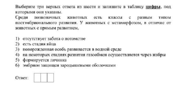 Кракен ссылка vtor