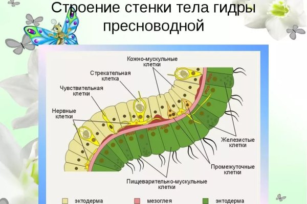 Кракен даркнет зеркало